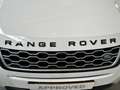 Land Rover Range Rover Evoque P300e S | 20" | Stoelverwarming Blanc - thumbnail 22
