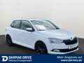 Skoda Fabia Fabia Clever Sitzheizung Allwetterreifen *Top* - thumbnail 4