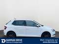Skoda Fabia Fabia Clever Sitzheizung Allwetterreifen *Top* - thumbnail 5