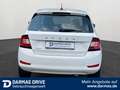 Skoda Fabia Fabia Clever Sitzheizung Allwetterreifen *Top* - thumbnail 7