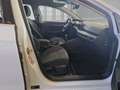 Volkswagen Golf Style 1.5 TSI Navi Memory Sitze Massagesitze LED S Weiß - thumbnail 5