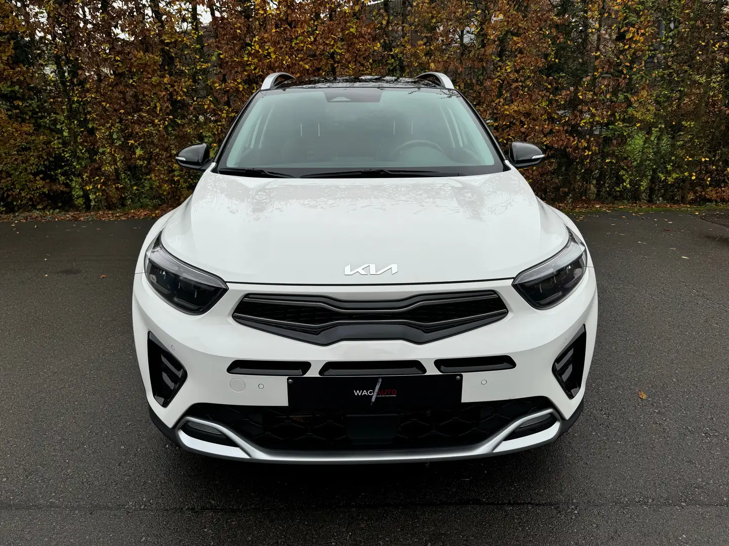 Kia Stonic GT Line DCT / CARNET / / CAM / / CARPLAY / Blanc - 2