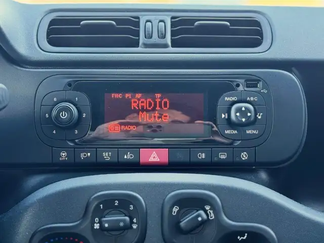 Fiat Panda view 15