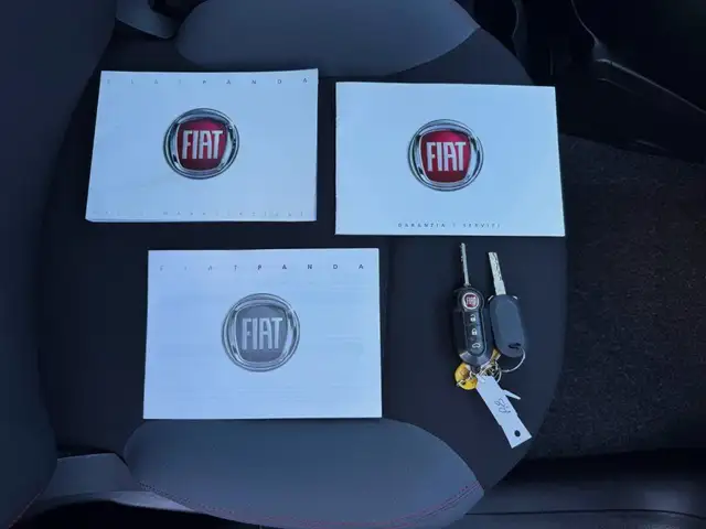 Fiat Panda view 25