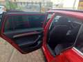 Volkswagen Passat Variant Passat Variant 1.6 tdi Business 120cv dsg Rosso - thumbnail 13