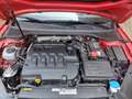 Volkswagen Passat Variant Passat Variant 1.6 tdi Business 120cv dsg Rosso - thumbnail 10