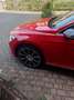 Volkswagen Passat Variant Passat Variant 1.6 tdi Business 120cv dsg Rosso - thumbnail 6