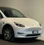 Tesla Model Y Model Y 2023 Single Motor rwd - thumbnail 4
