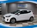 Ford Fiesta 1.1 75cv 5 Porte Titanium EU6 Bianco - thumbnail 1