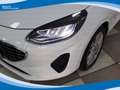 Ford Fiesta 1.1 75cv 5 Porte Titanium EU6 Bianco - thumbnail 12