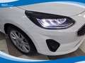 Ford Fiesta 1.1 75cv 5 Porte Titanium EU6 Bianco - thumbnail 13