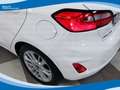 Ford Fiesta 1.1 75cv 5 Porte Titanium EU6 Bianco - thumbnail 15