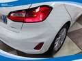 Ford Fiesta 1.1 75cv 5 Porte Titanium EU6 Bianco - thumbnail 14