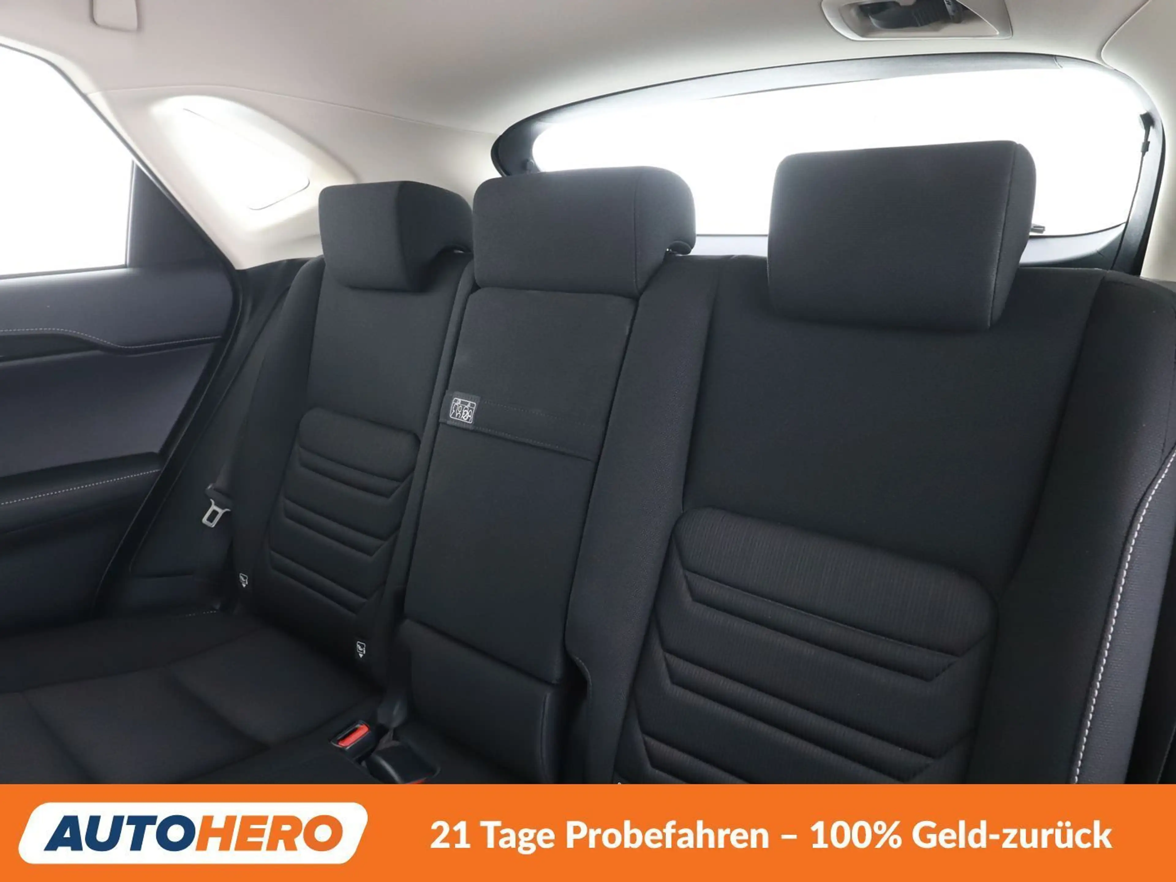 Lexus NX 300h NX 300h E-Four Business Line — photo 14