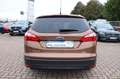 Ford Focus Turnier 1.0 Titanium Klimaauto./SHZ/PDC Marrone - thumbnail 6