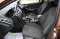 Ford Focus Turnier 1.0 Titanium Klimaauto./SHZ/PDC Marrone - thumbnail 8