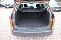 Ford Focus Turnier 1.0 Titanium Klimaauto./SHZ/PDC Marrone - thumbnail 7