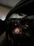 Ford Mustang Mustang+5.0+Ti-VCT+V8+Aut.+GT Vert - thumbnail 5
