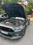 Ford Mustang Mustang+5.0+Ti-VCT+V8+Aut.+GT Vert - thumbnail 7