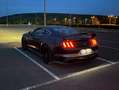 Ford Mustang Mustang+5.0+Ti-VCT+V8+Aut.+GT Vert - thumbnail 12