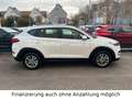 Hyundai TUCSON 1.6 TGDI Go + 2WD Navi & Rückfahrkamera Weiß - thumbnail 5