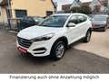 Hyundai TUCSON 1.6 TGDI Go + 2WD Navi & Rückfahrkamera Weiß - thumbnail 6