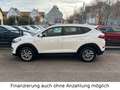 Hyundai TUCSON 1.6 TGDI Go + 2WD Navi & Rückfahrkamera Weiß - thumbnail 4