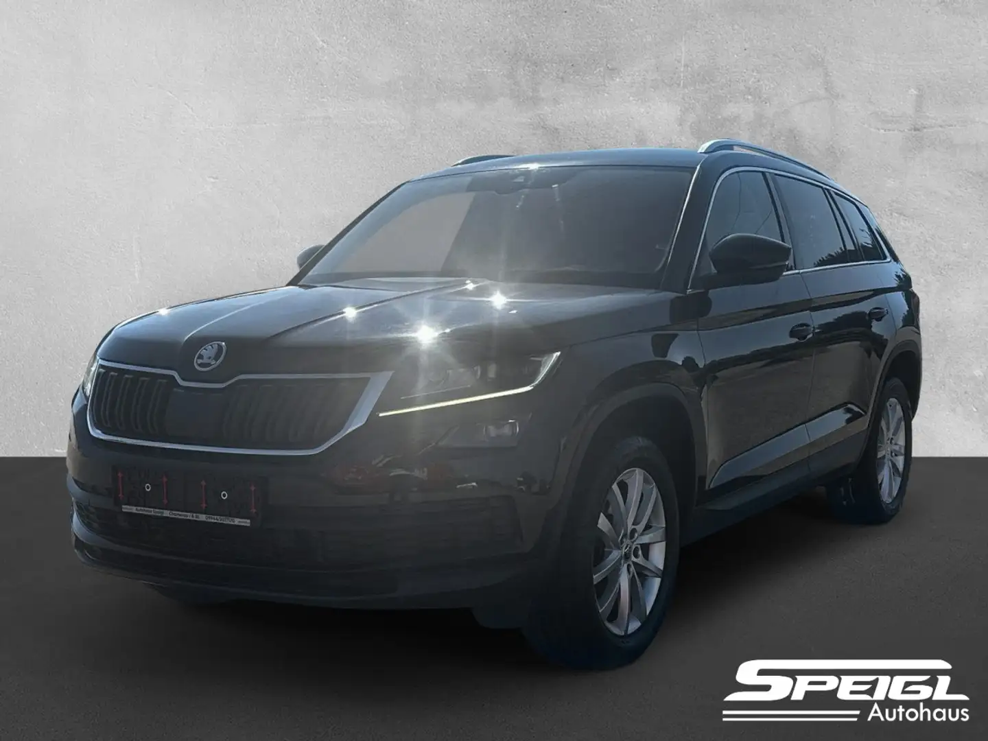 Skoda Kodiaq 2.0 TDI Style 4x4 DSG Klima Rückfahrkamera Noir - 1