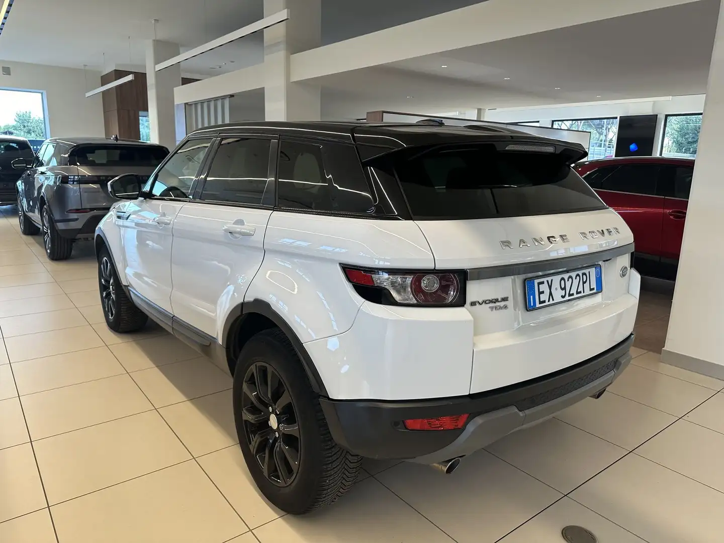 Land Rover Range Rover Evoque 2.2 TD4 5p. Pure Tech Pack AUTO Bianco - 2