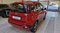 Fiat Panda 1,2 70 Waze Rot - thumbnail 5