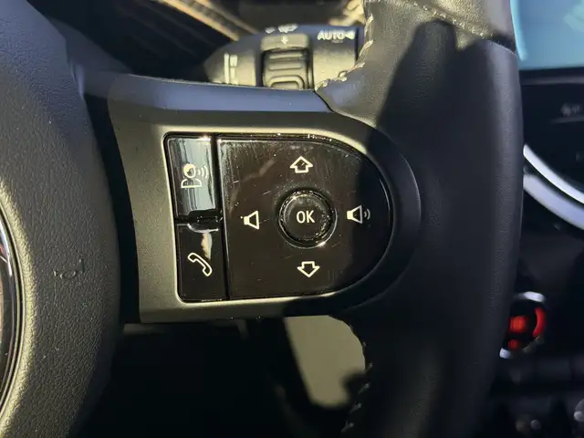 Mini Hatch view 18