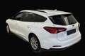 Ford Focus Turnier 1.5 88kw EcoBlue  TOP Zustand/ AHK Blanc - thumbnail 13