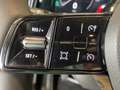 Renault Austral 1.3 TCe 140 Equilibre *AHK*LED*PDC*SHZ Grijs - thumbnail 21