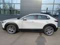 Mazda CX-30 2.0 Exclusive-Line 2WD sofort Weiß - thumbnail 2