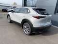 Mazda CX-30 2.0 Exclusive-Line 2WD sofort Weiß - thumbnail 3
