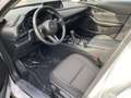 Mazda CX-30 2.0 Exclusive-Line 2WD sofort Bianco - thumbnail 9