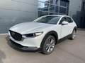 Mazda CX-30 2.0 Exclusive-Line 2WD sofort Weiß - thumbnail 1