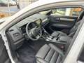 Renault Koleos INITIALE PARIS BLUE dCi 185 4WD Automati Alb - thumbnail 6