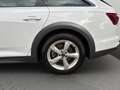 Audi A6 allroad 40TDI Quattro Navi ACC VirtualCockpit Weiß - thumbnail 3