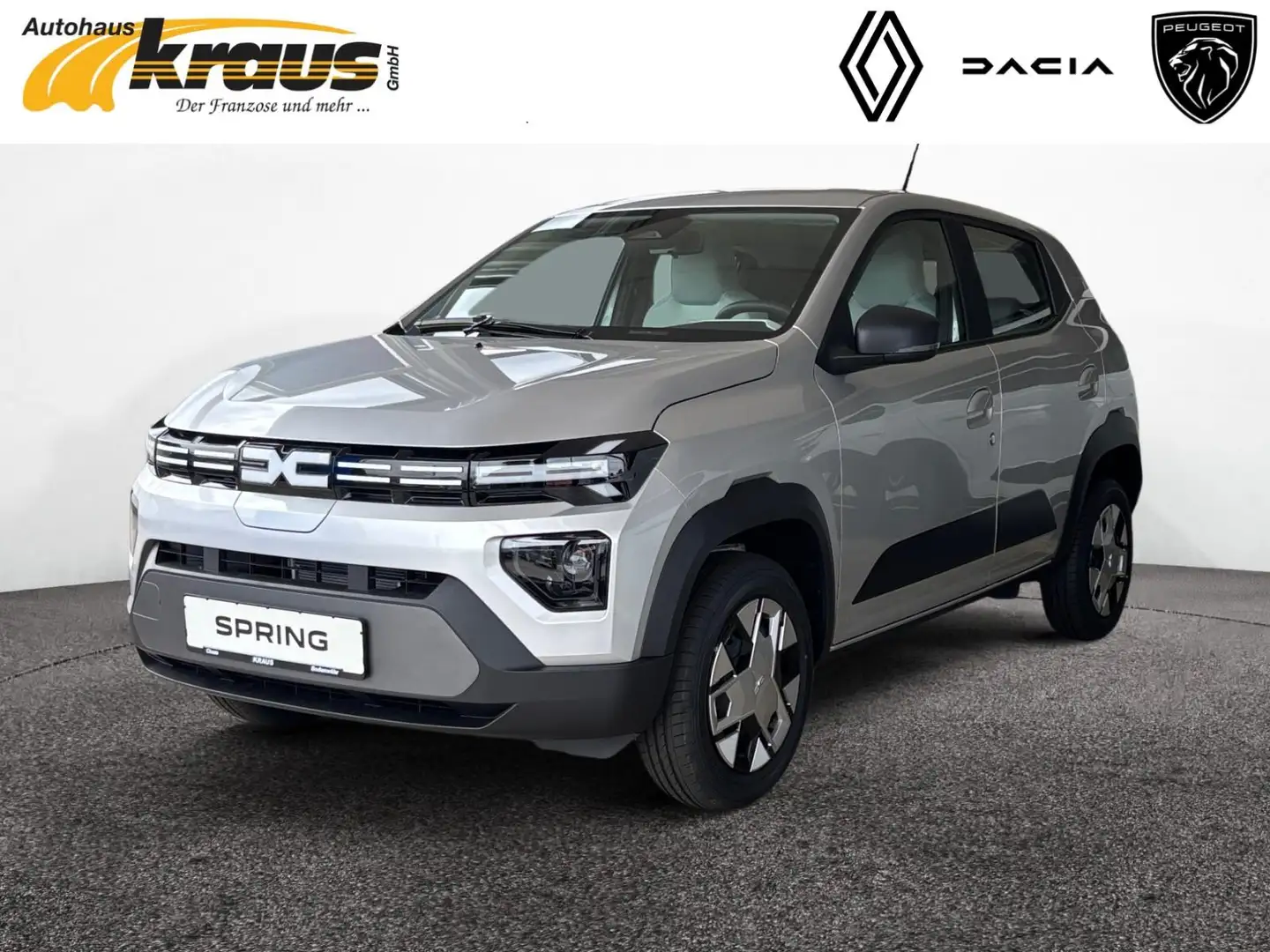 Dacia Spring Electric Expression 45 Aktion Сірий - 1
