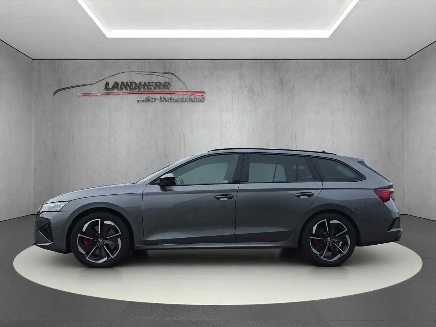 Skoda Octavia RS Facelift // Matrix/Rückfahrkamera Grau - 2