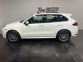 Porsche Cayenne GTS Aut. Weiß - thumbnail 5