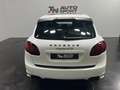 Porsche Cayenne GTS Aut. Weiß - thumbnail 3