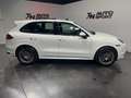 Porsche Cayenne GTS Aut. Weiß - thumbnail 9