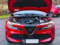 Alfa Romeo Junior Ibrida *Speciale 1.2 MHEV e-DCT6- SABELT SPORT ... Rot - thumbnail 38