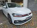 Volkswagen Polo GTI 2.0TSI DSG LED ACC App Blanc - thumbnail 3