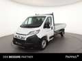 Fiat Ducato 35 Maxi 140 Multijet L3 verstärkt Pritsche Weiß - thumbnail 1
