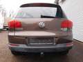 Volkswagen Tiguan Track & Field 4Motion Braun - thumbnail 10