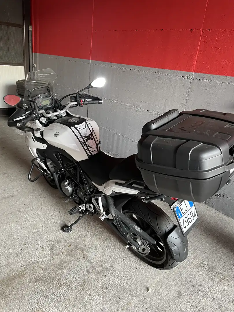 Benelli TRK 502 - 1