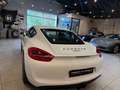 Porsche Cayman 2.7-275ch Weiß - thumbnail 10